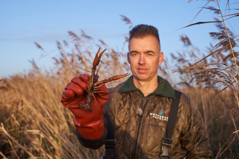 Wetterskipper met een Amerikaanse rivierkreeft collega met kreeft.jpg