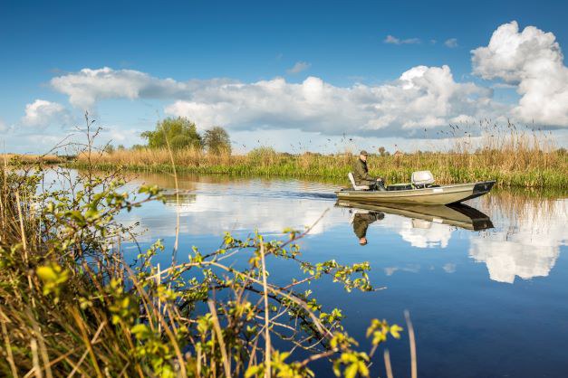 Foto 1 Foto 1 Een exotenbestrijder van Wetterskip Fryslân speurt vanuit de boot naar muskusratten - Fotograaf Daniël Hartog.jpg