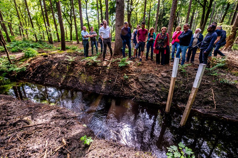 Rayonbeheerder Ranil Sieperda van Wetterskip Fryslân geeft tijdens een wandeling uitleg over de maatregelen voor het vasthouden en aanvoeren van water in het Reigerbosch. Fotograaf: Fotobureau Hoge Noorden. Foto 2- Rayonbeheerder Ranil Sieperda van Wetterskip Fryslân geeft tijdens een wandeling uitleg over de maatregelen voor het vasthouden en aanvoeren van water in het Reigerbosch.jpg