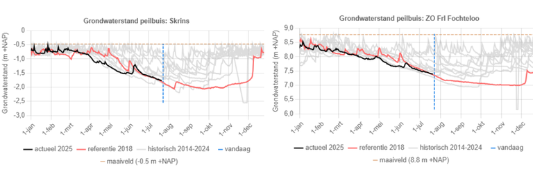 Grondwaterstande Fryslân peilbuis Skrins en Fochteloo - droogte-update 23072025 Grafieken grondwaterstande Fryslân peilbuis Skrins en Fochteloo - droogte-update 23072025