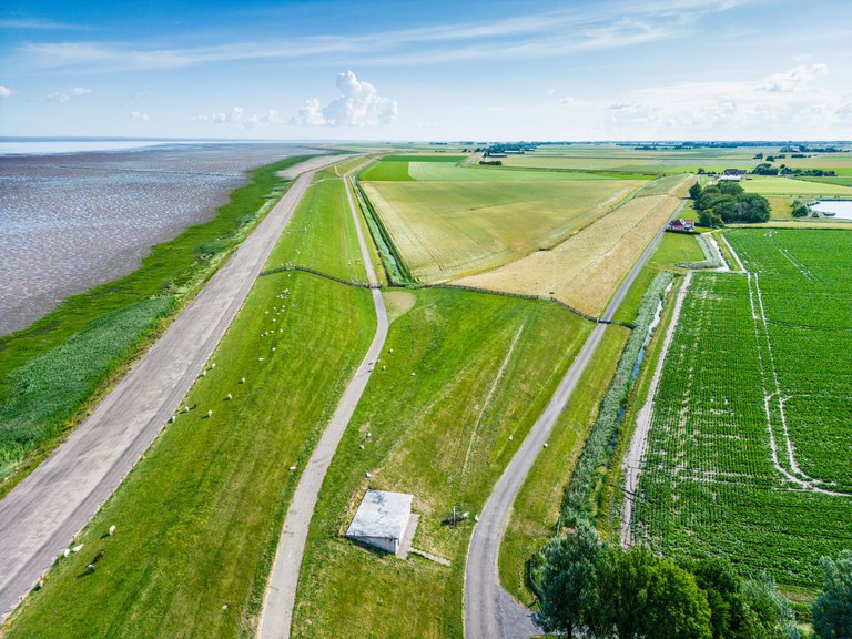 Zeedijk bij Koehool Foto Daniël Hartog .jpg Zeedijk bij Koehool Foto Daniël Hartog .jpg