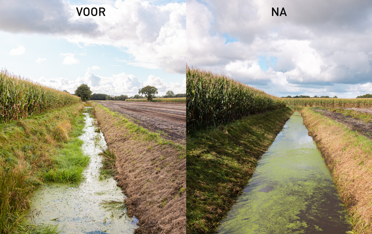Schouw sloot voor en na Schouw sloot voor en na