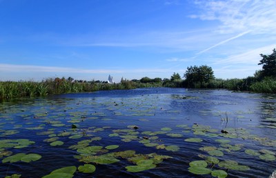 Voorbeeld van een luwe, ondiepe waterzone bij de Modderige Bol Modderige bol2055_luwe_2020_oost (3) bijgesneden.jpg